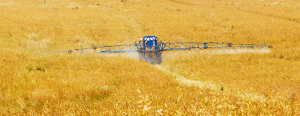 Traitement des eaux usées chargées en pesticides